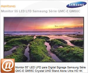 Imagen Adicional 2