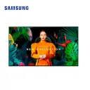 STAND ALONE 65' UHD 24/7