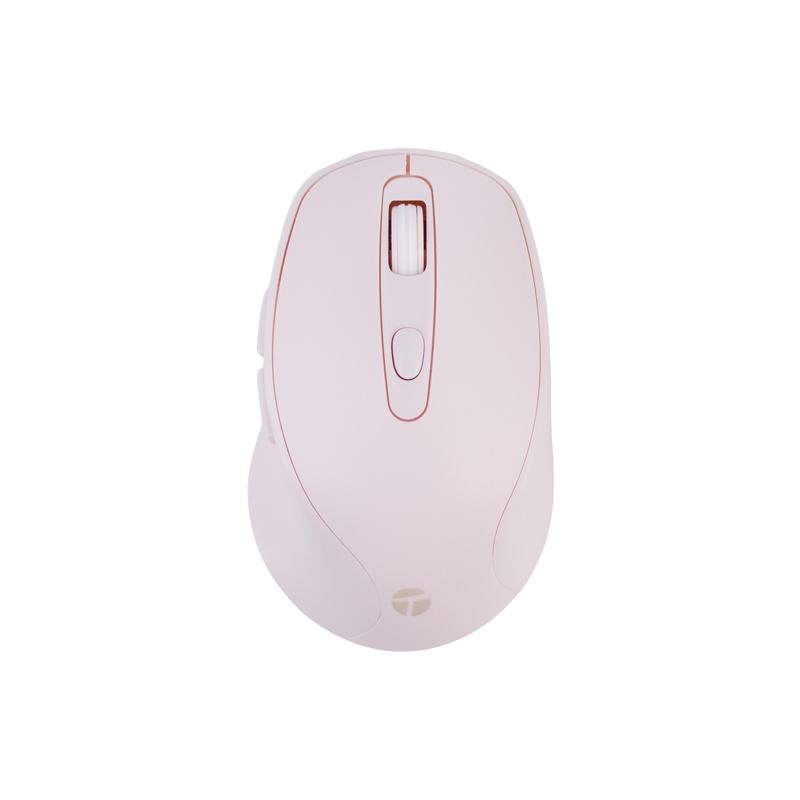 [MSWPKTE1234S] MOUSE STD WIRELESS TE1234 PK